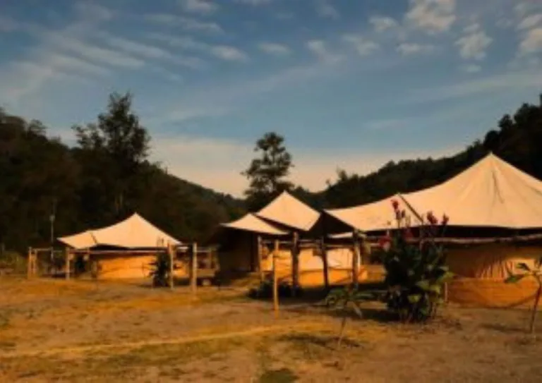 Van Tarang at Rajaji National Park