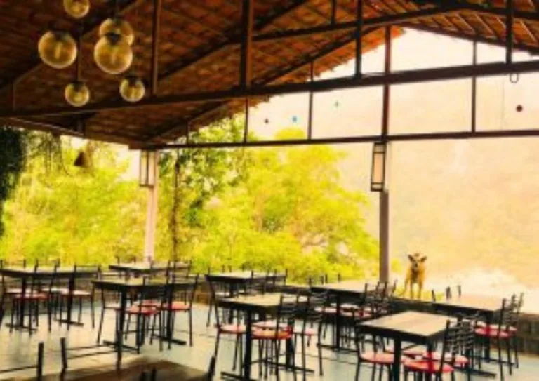 Rajaji National Park resorts