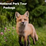 Rajaji National Park Tour Package