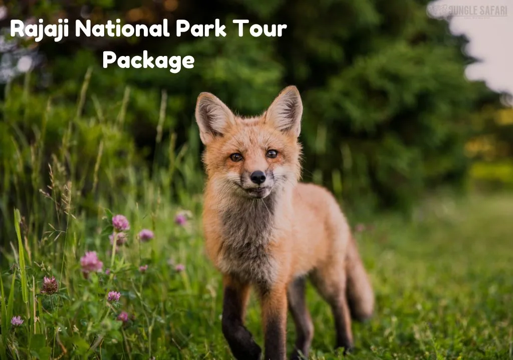 Rajaji National Park Tour Package
