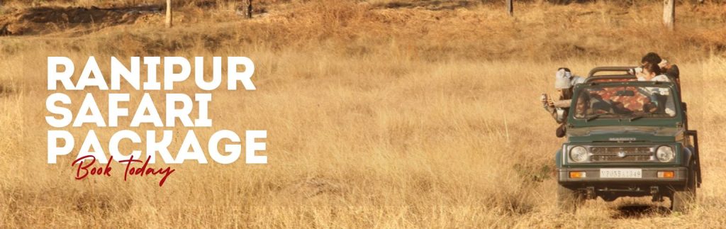 Ranipur Safari Package