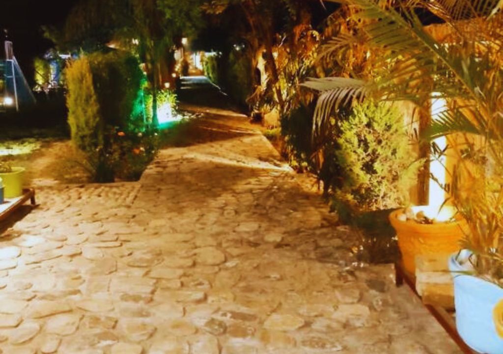 Rosetree Wild Trail Resort