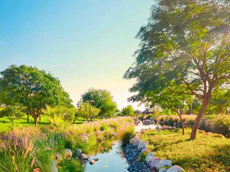 Stay in Rajaji National Park