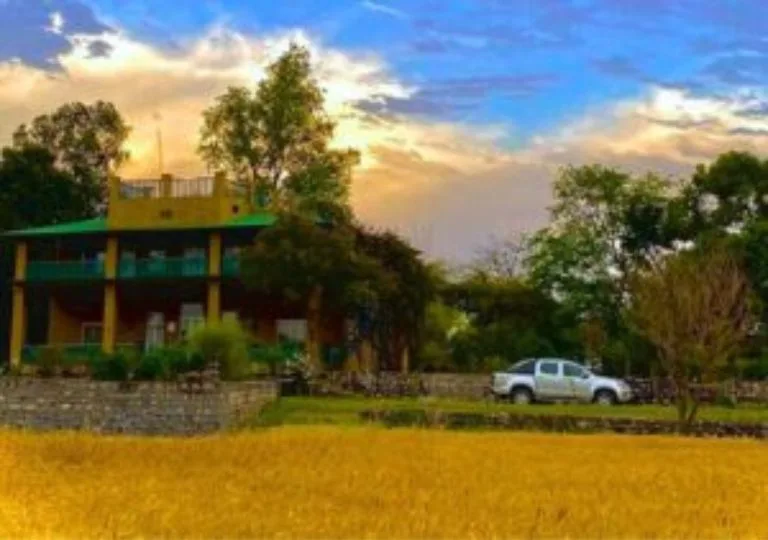 stay in Rajaji National Park