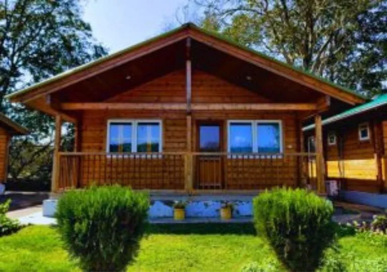stay in Rajaji National Park