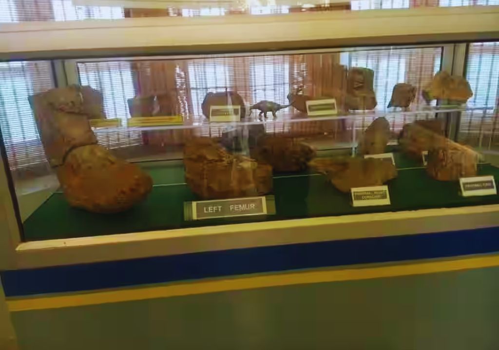 Subir Raha Oil Museum Dehradun