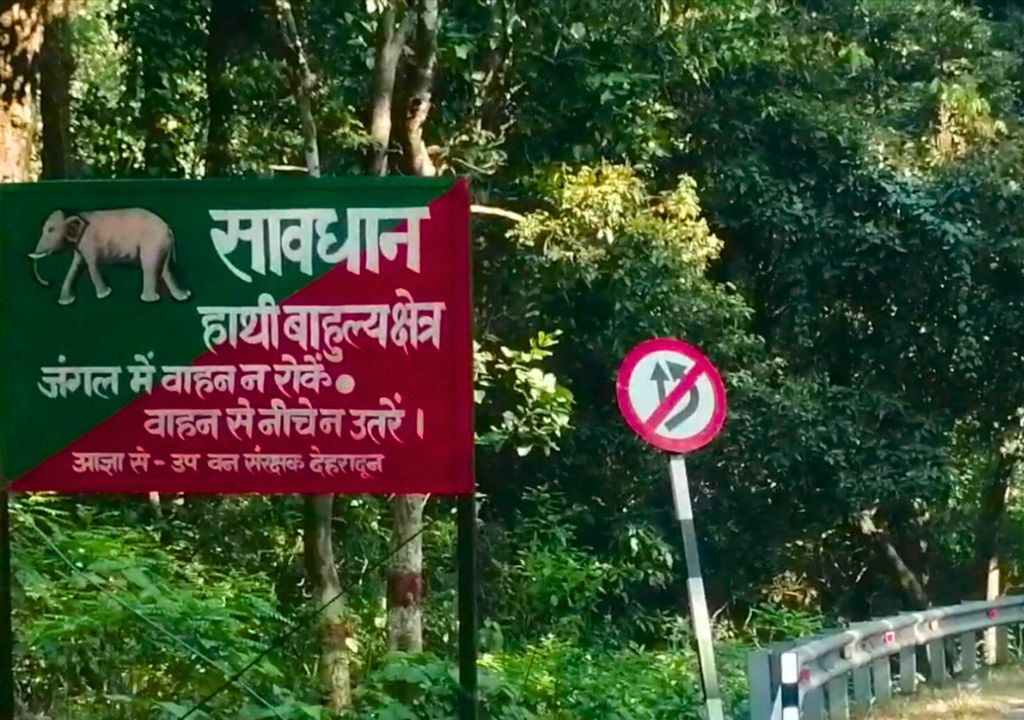 Thano Reserve Forest