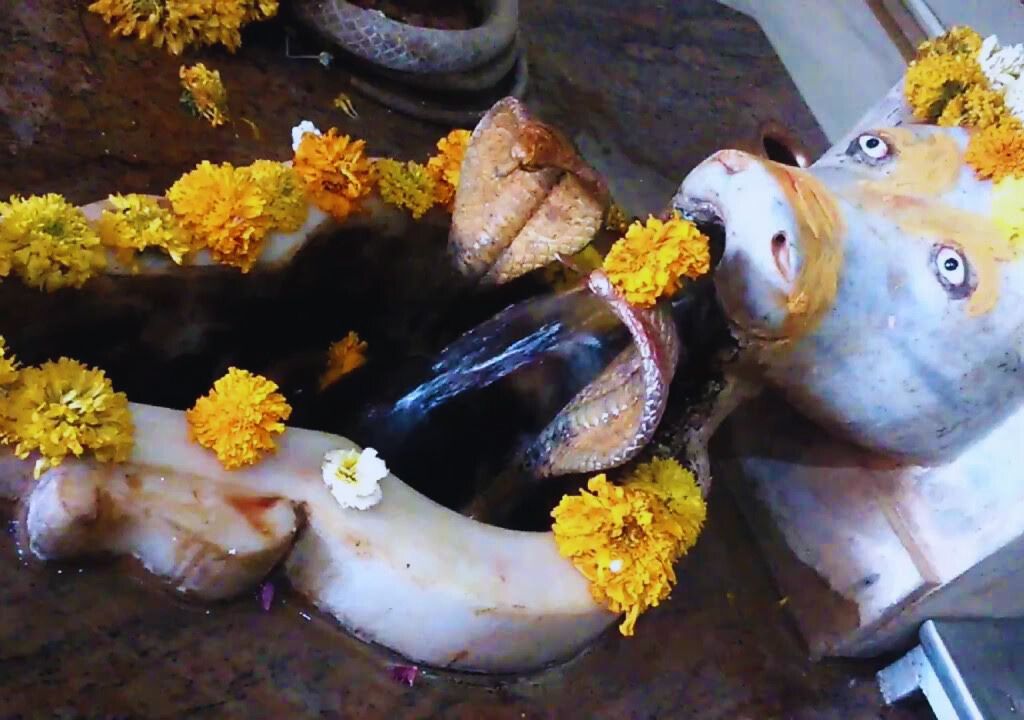 the Mota Mahadev Temple in Rishikesh