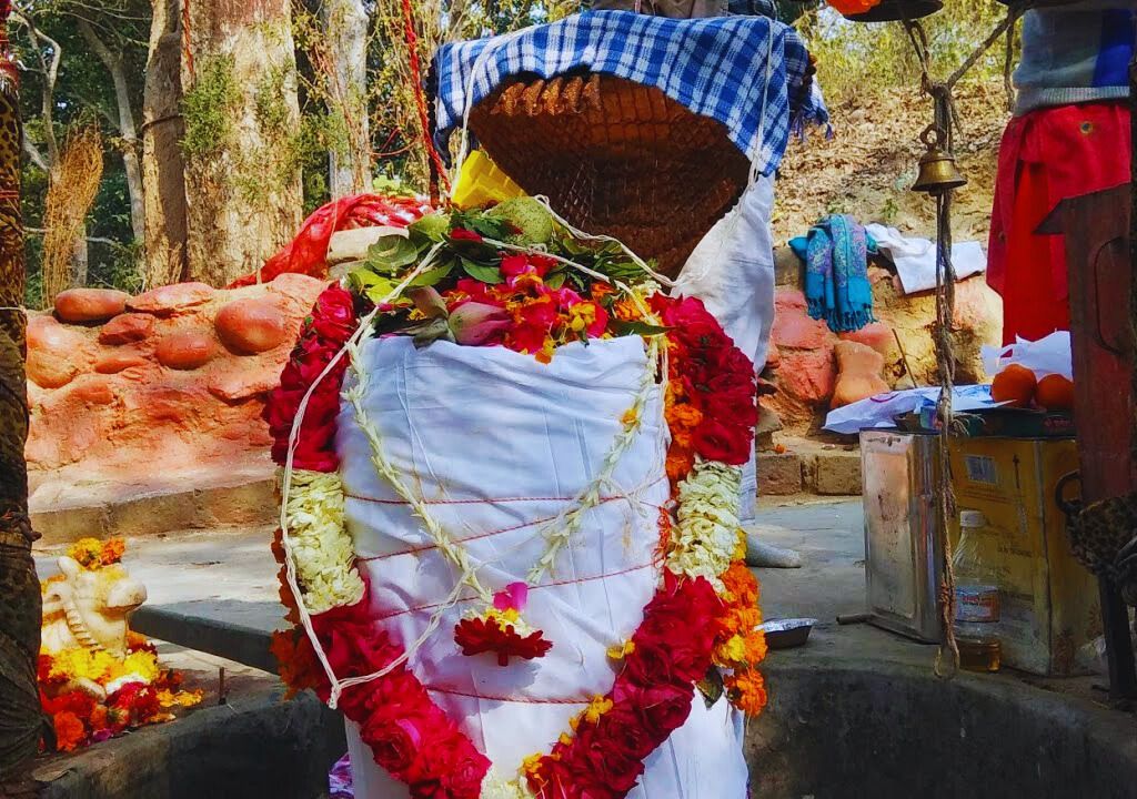 the Mota Mahadev Temple in Rishikesh