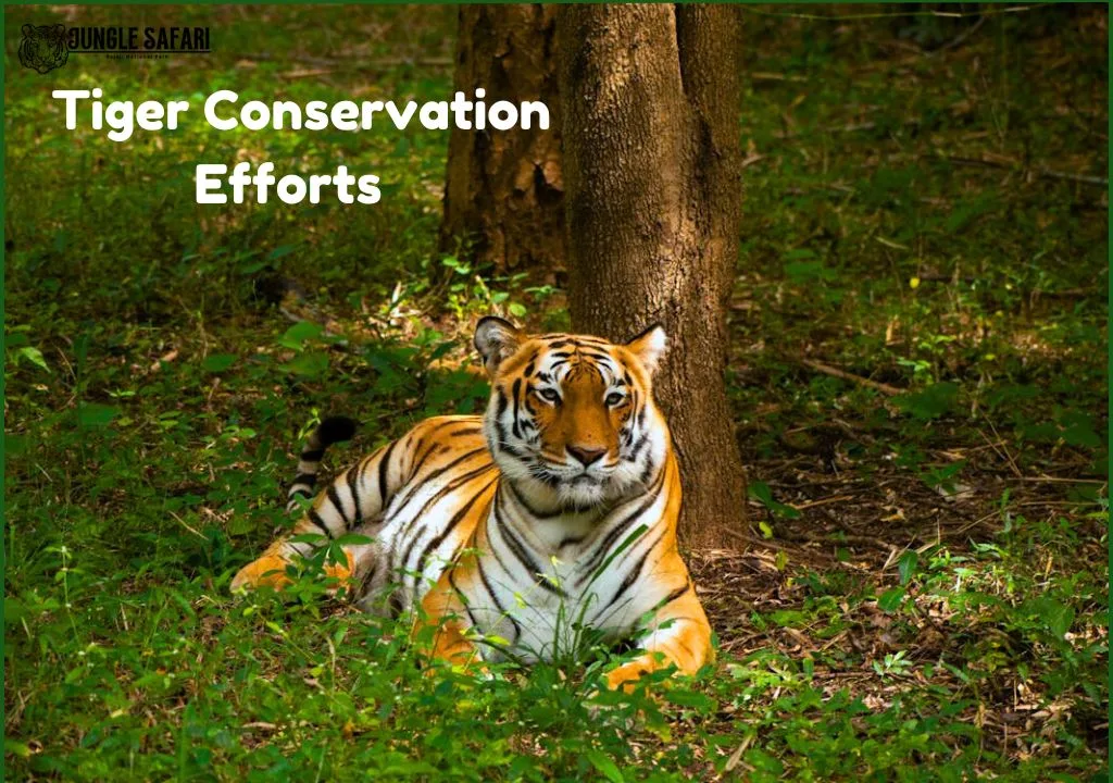 Tiger Conservation Efforts in Rajaji Tiger Reserve
