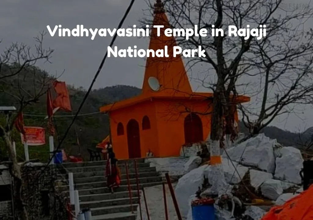 Vindhyavasini Temple in Rajaji National Park