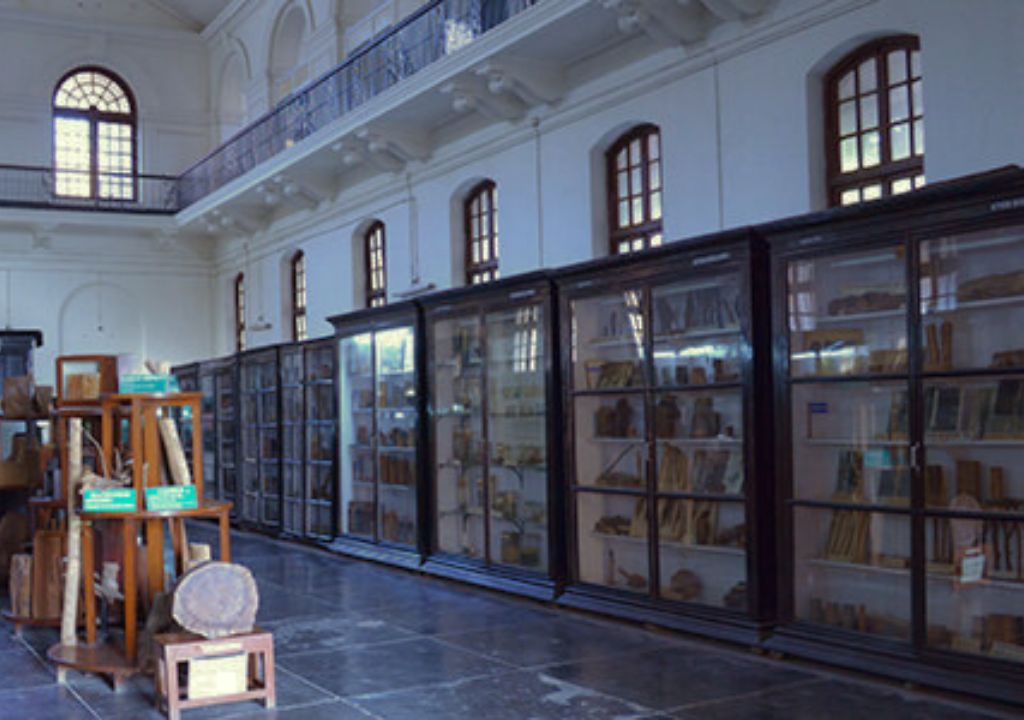 Zonal Museum Dehradun
